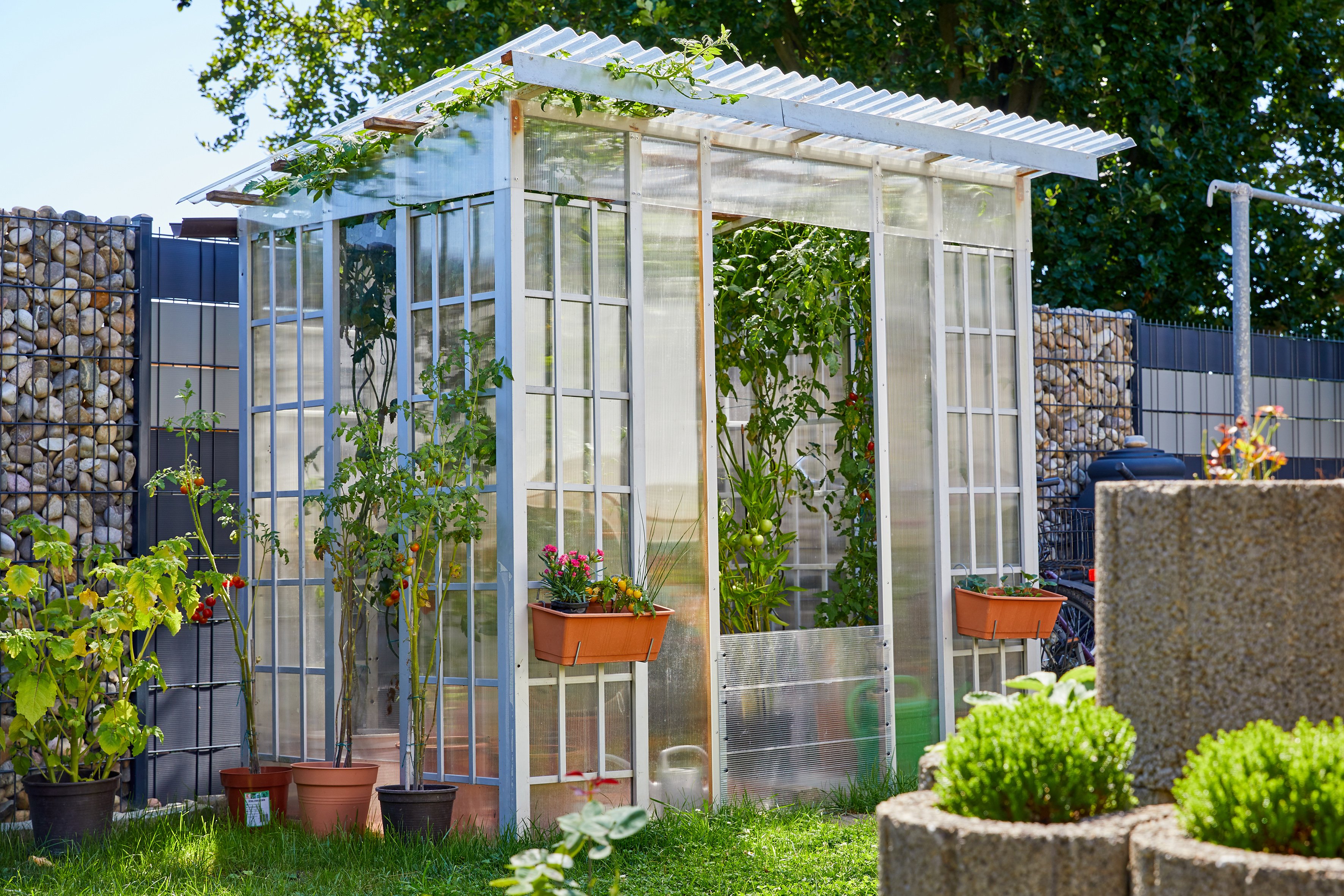 PVC Wellplatten 0,8 mm trapez klar PVC Wellplatten 0,8 mm trapez klar